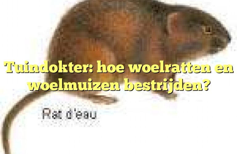 Tuindokter: hoe woelratten en woelmuizen bestrijden?