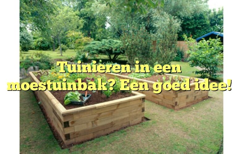 Tuinieren in een moestuinbak? Een goed idee!