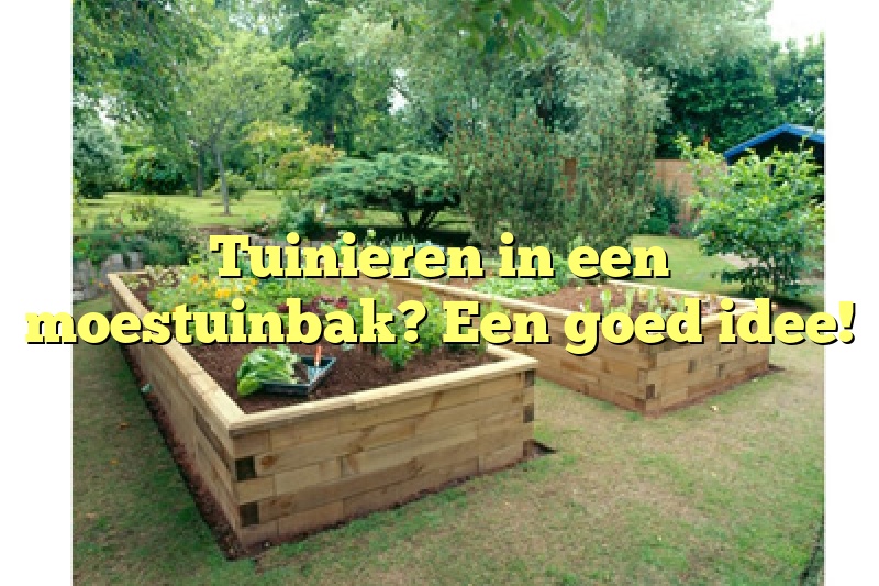 Tuinieren in een moestuinbak? Een goed idee!