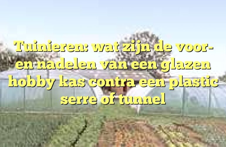 Tuinieren: wat zijn de voor- en nadelen van een glazen hobby kas contra een plastic serre of tunnel