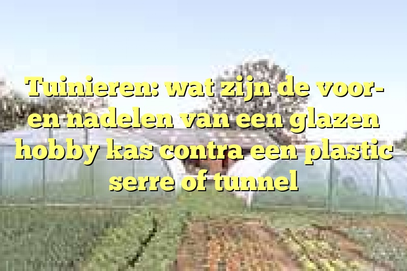 Tuinieren: wat zijn de voor- en nadelen van een glazen hobby kas contra een plastic serre of tunnel