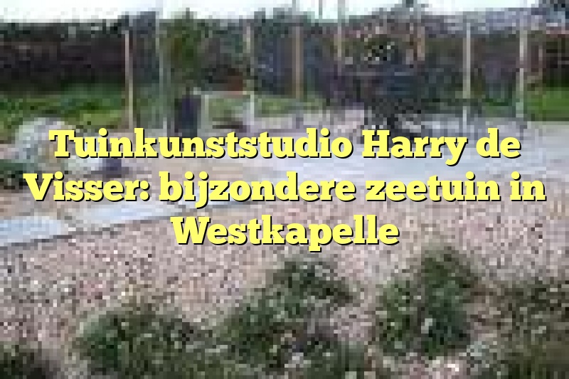 Tuinkunststudio Harry de Visser: bijzondere zeetuin in Westkapelle