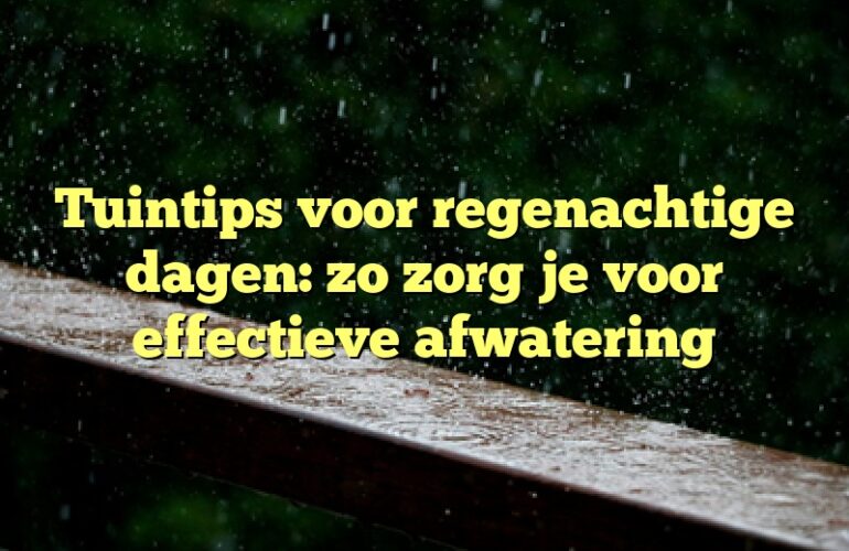 Tuintips voor regenachtige dagen: zo zorg je voor effectieve afwatering