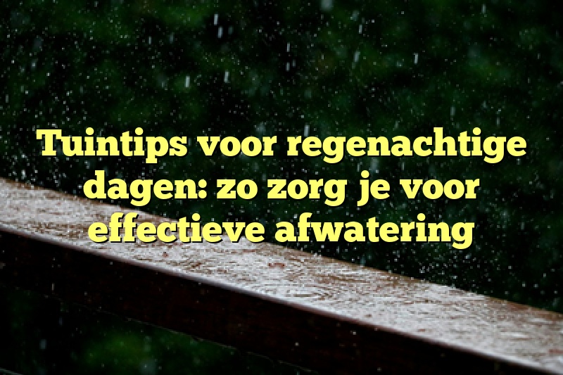 Tuintips voor regenachtige dagen: zo zorg je voor effectieve afwatering