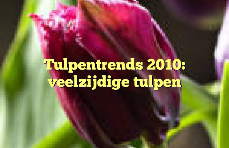 Tulpentrends 2010: veelzijdige tulpen