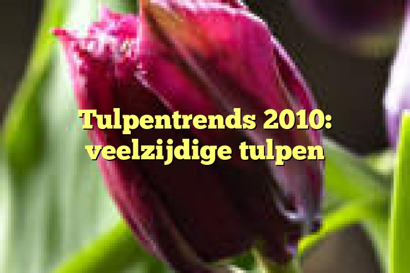 Tulpentrends 2010: veelzijdige tulpen