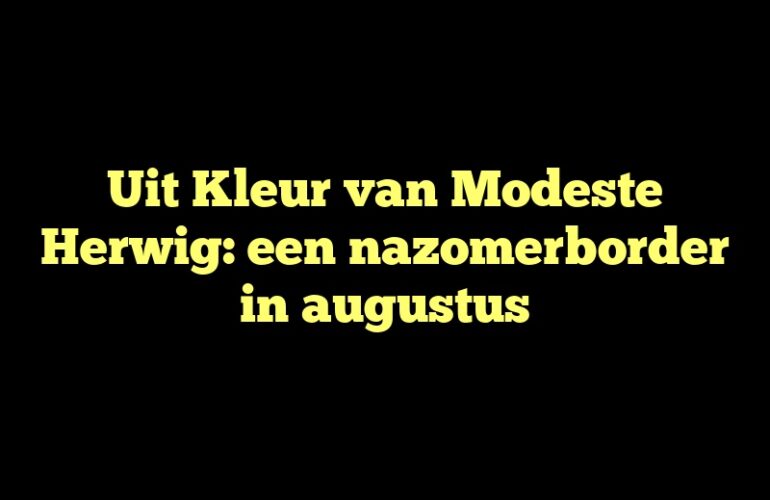 Uit Kleur van Modeste Herwig: een nazomerborder in augustus