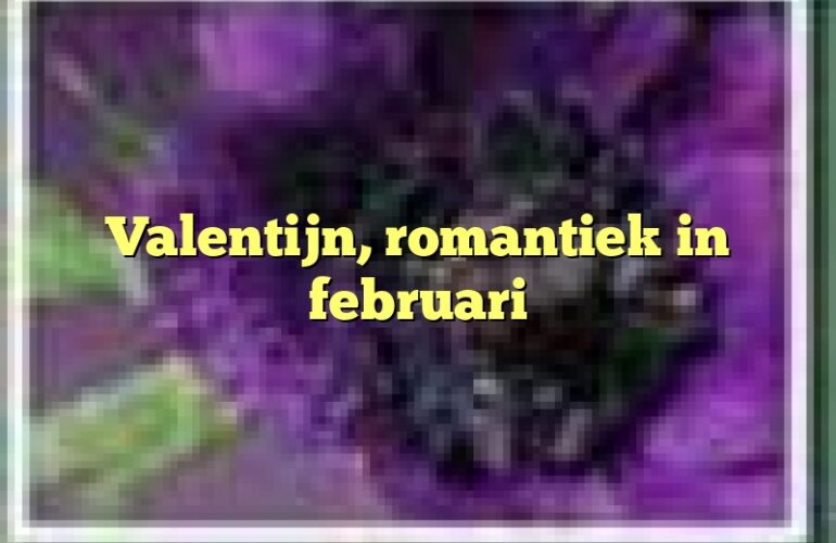 Valentijn, romantiek in februari