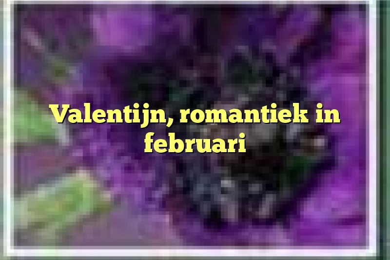 Valentijn, romantiek in februari