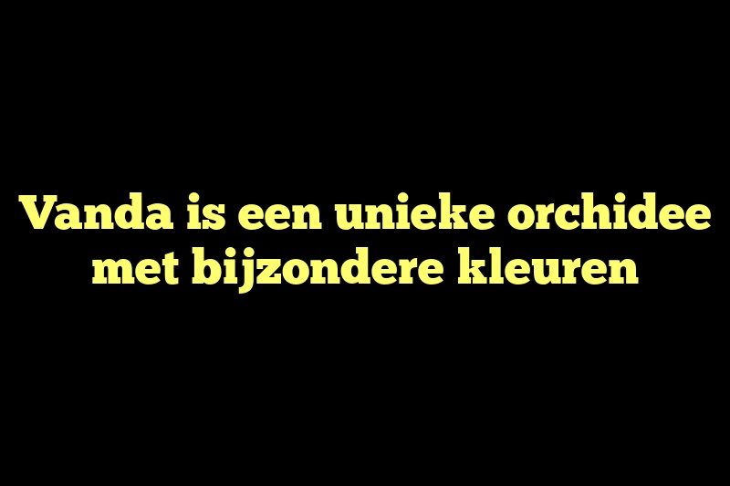 Vanda is een unieke orchidee met bijzondere kleuren