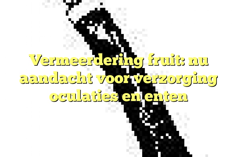 Vermeerdering fruit: nu aandacht voor verzorging oculaties en enten