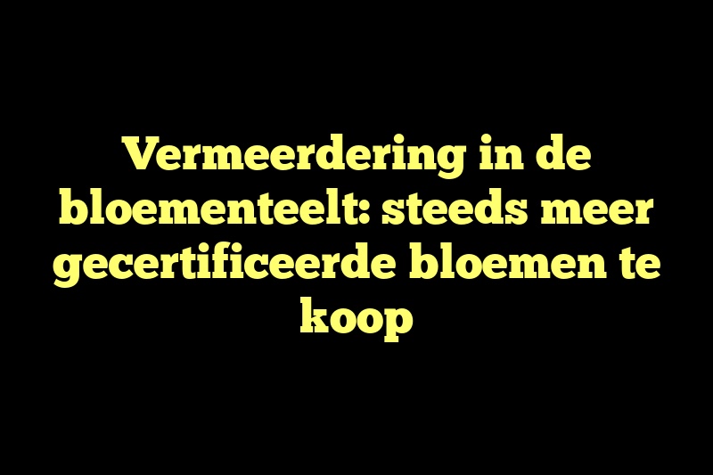 Vermeerdering in de bloementeelt: steeds meer gecertificeerde bloemen te koop