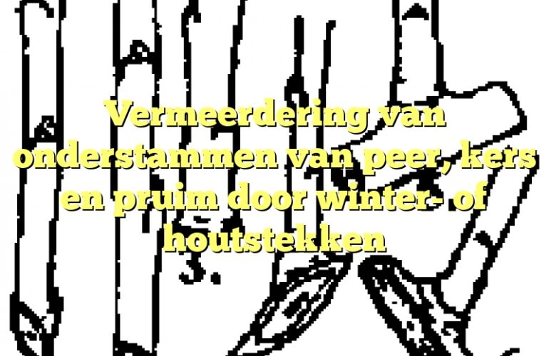 Vermeerdering van onderstammen van peer, kers en pruim door winter- of houtstekken