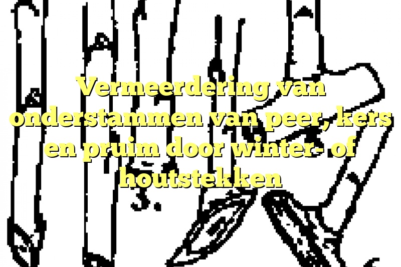 Vermeerdering van onderstammen van peer, kers en pruim door winter- of houtstekken