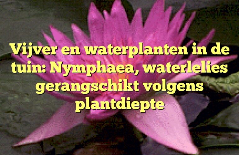 Vijver en waterplanten in de tuin: Nymphaea, waterlelies gerangschikt volgens plantdiepte