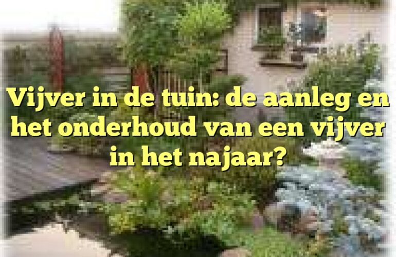 Vijver in de tuin: de aanleg en het onderhoud van een vijver in het najaar?