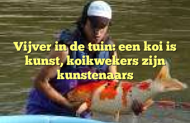 Vijver in de tuin: een koi is kunst, koikwekers zijn kunstenaars