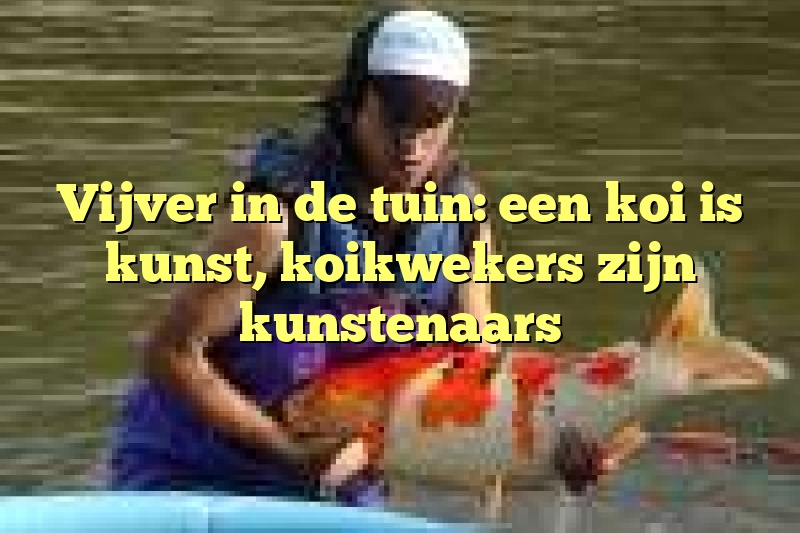 Vijver in de tuin: een koi is kunst, koikwekers zijn kunstenaars