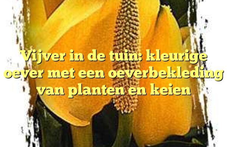 Vijver in de tuin: kleurige oever met een oeverbekleding van planten en keien