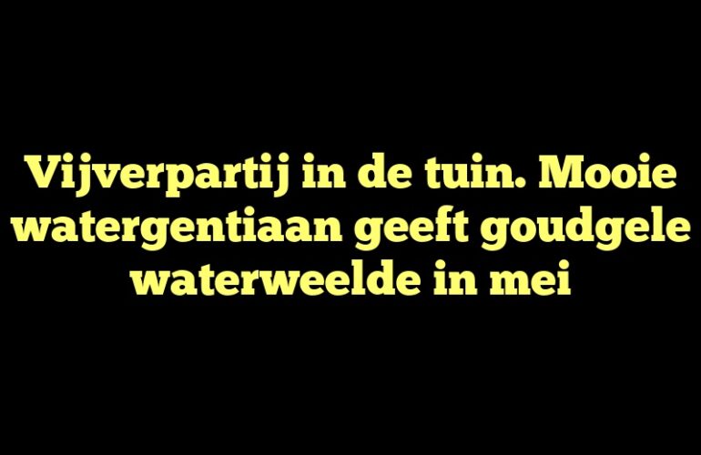 Vijverpartij in de tuin. Mooie watergentiaan geeft goudgele waterweelde in mei