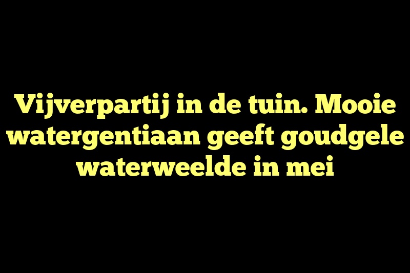 Vijverpartij in de tuin. Mooie watergentiaan geeft goudgele waterweelde in mei