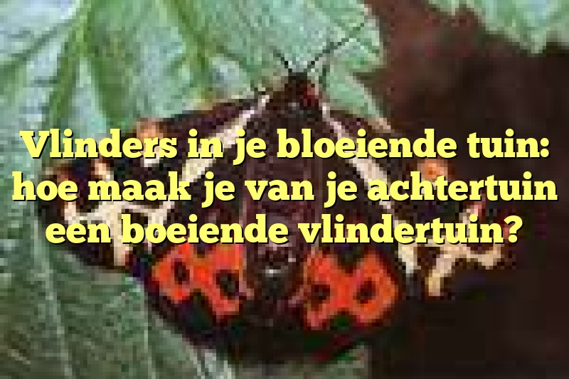 Vlinders in je bloeiende tuin: hoe maak je van je achtertuin een boeiende vlindertuin?