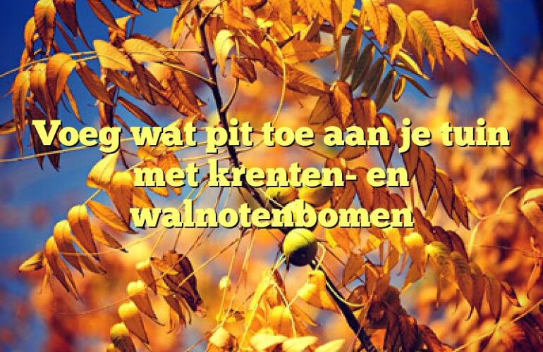 Voeg wat pit toe aan je tuin met krenten- en walnotenbomen