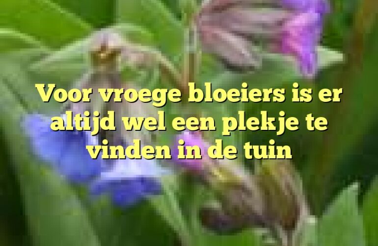 Voor vroege bloeiers is er altijd wel een plekje te vinden in de tuin