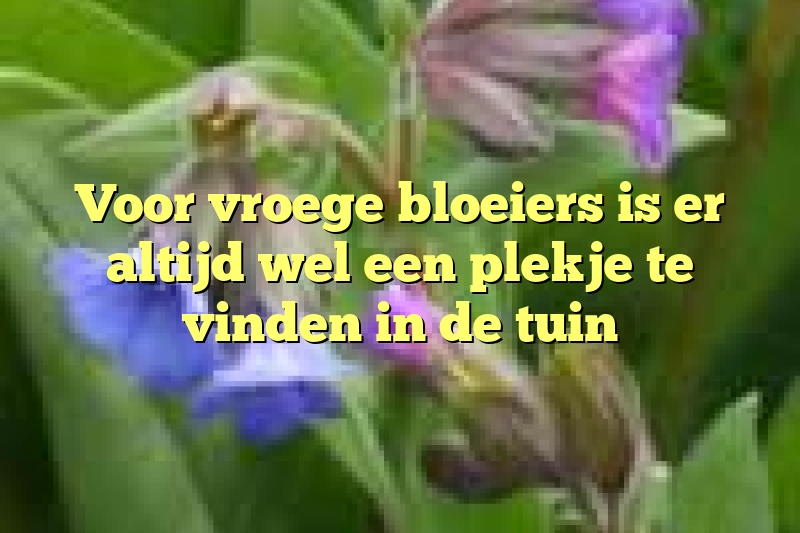 Voor vroege bloeiers is er altijd wel een plekje te vinden in de tuin