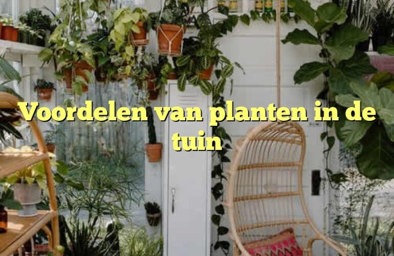 Voordelen van planten in de tuin