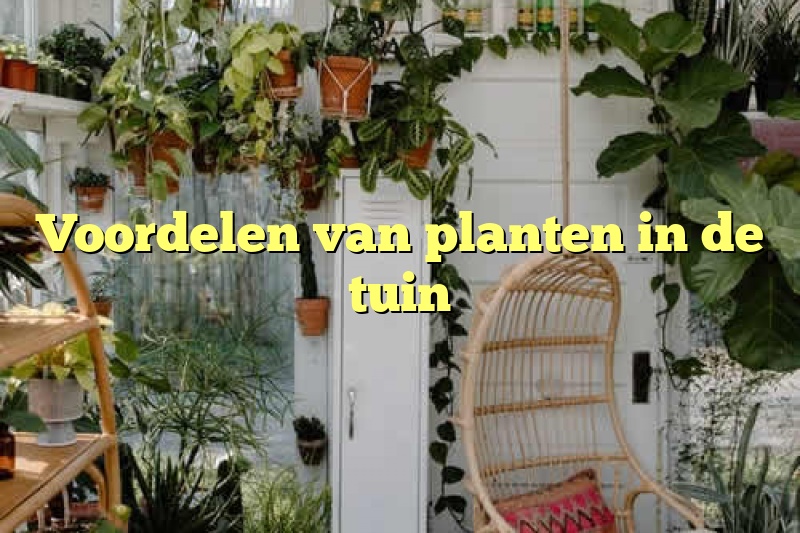 Voordelen van planten in de tuin