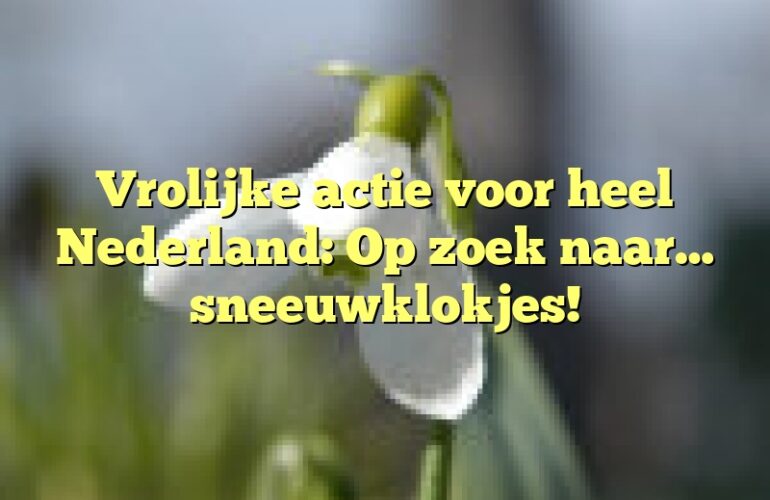 Vrolijke actie voor heel Nederland: Op zoek naar… sneeuwklokjes!