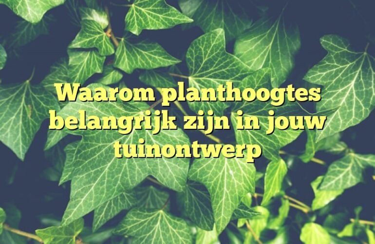 Waarom planthoogtes belangrijk zijn in jouw tuinontwerp