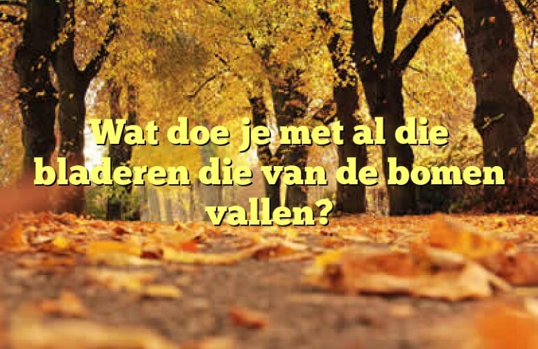 Wat doe je met al die bladeren die van de bomen vallen?