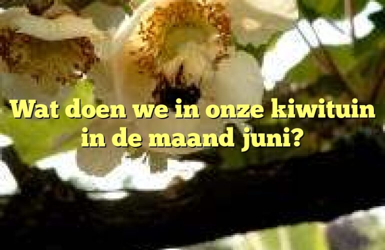 Wat doen we in onze kiwituin in de maand juni?