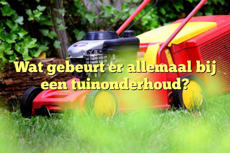 Wat gebeurt er allemaal bij een tuinonderhoud?