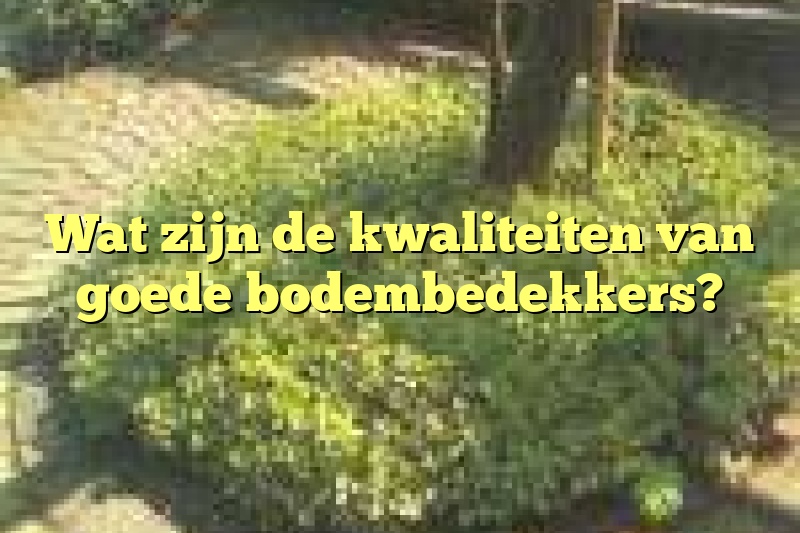 Wat zijn de kwaliteiten van goede bodembedekkers?