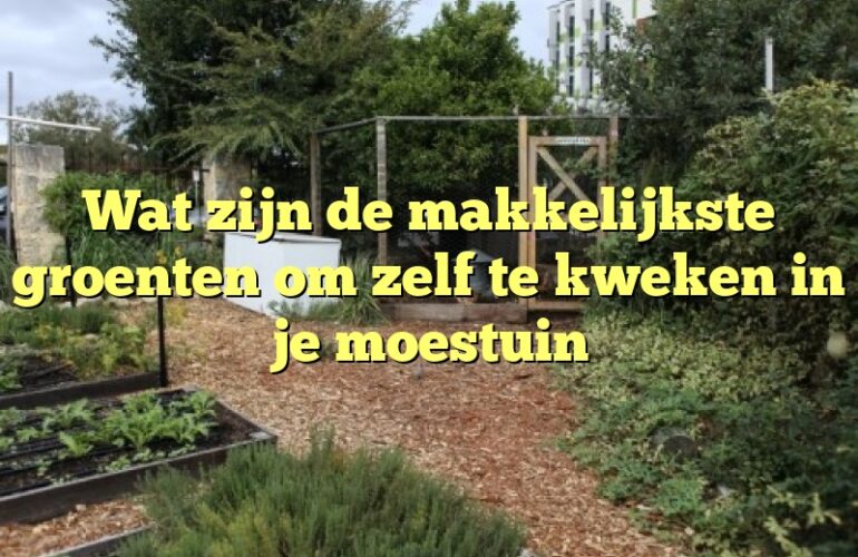 Wat zijn de makkelijkste groenten om zelf te kweken in je moestuin