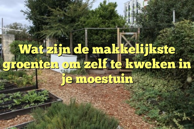 Wat zijn de makkelijkste groenten om zelf te kweken in je moestuin