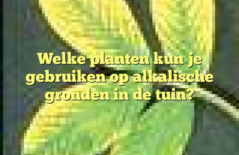 Welke planten kun je gebruiken op alkalische gronden in de tuin?