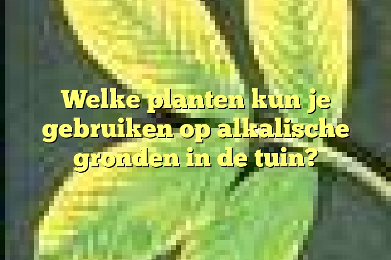 Welke planten kun je gebruiken op alkalische gronden in de tuin?