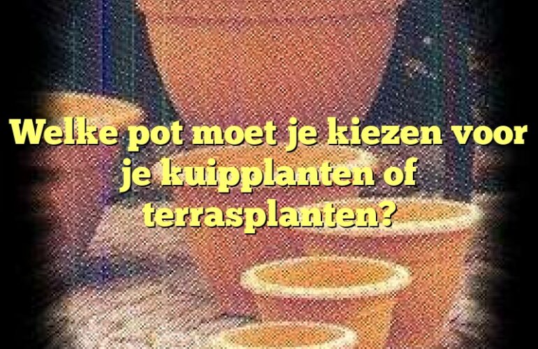 Welke pot moet je kiezen voor je kuipplanten of terrasplanten?