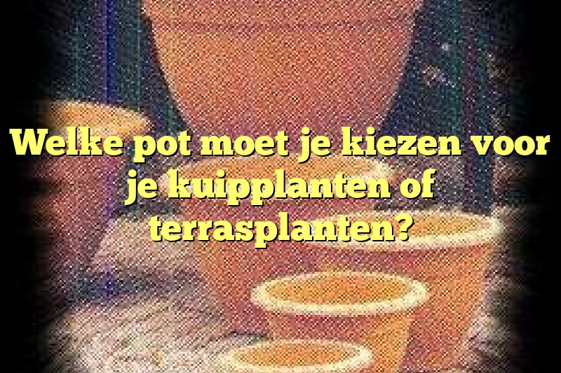 Welke pot moet je kiezen voor je kuipplanten of terrasplanten?