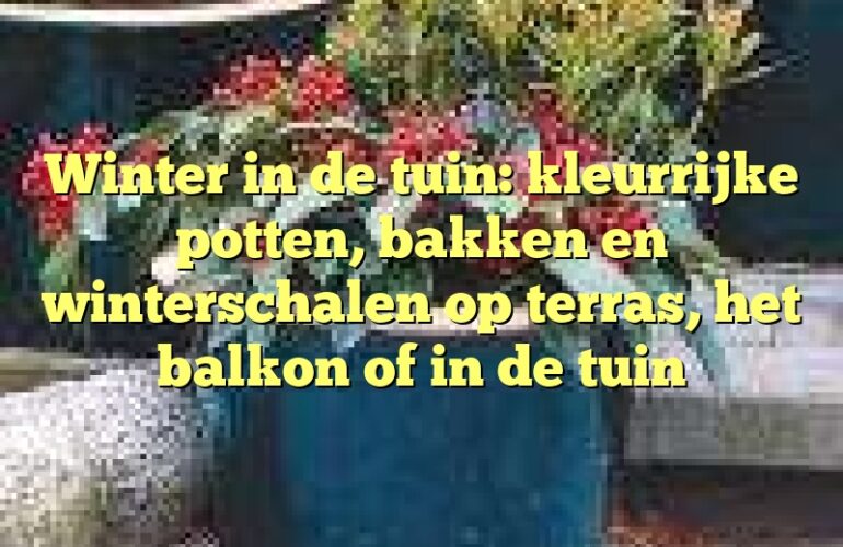 Winter in de tuin: kleurrijke potten, bakken en winterschalen op terras, het balkon of in de tuin