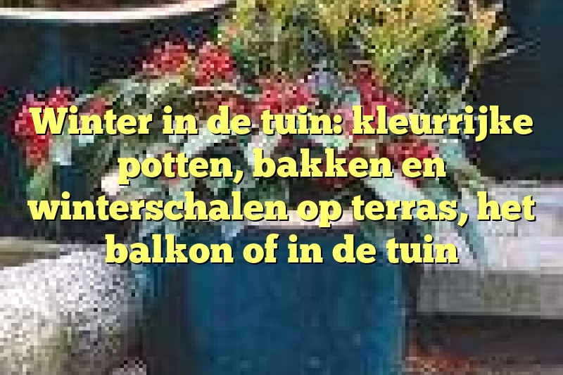 Winter in de tuin: kleurrijke potten, bakken en winterschalen op terras, het balkon of in de tuin