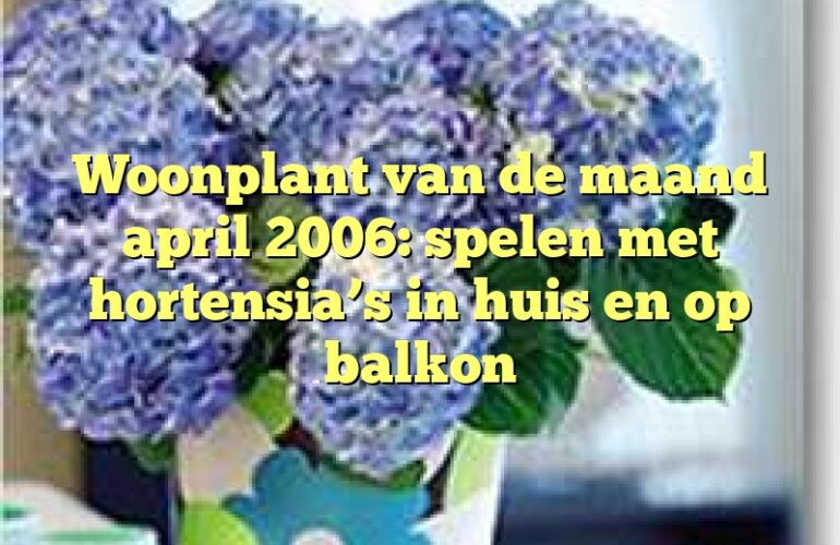 Woonplant van de maand april 2006: spelen met hortensia’s in huis en op balkon