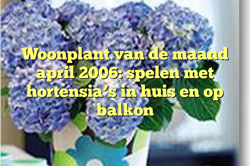 Woonplant van de maand april 2006: spelen met hortensia’s in huis en op balkon