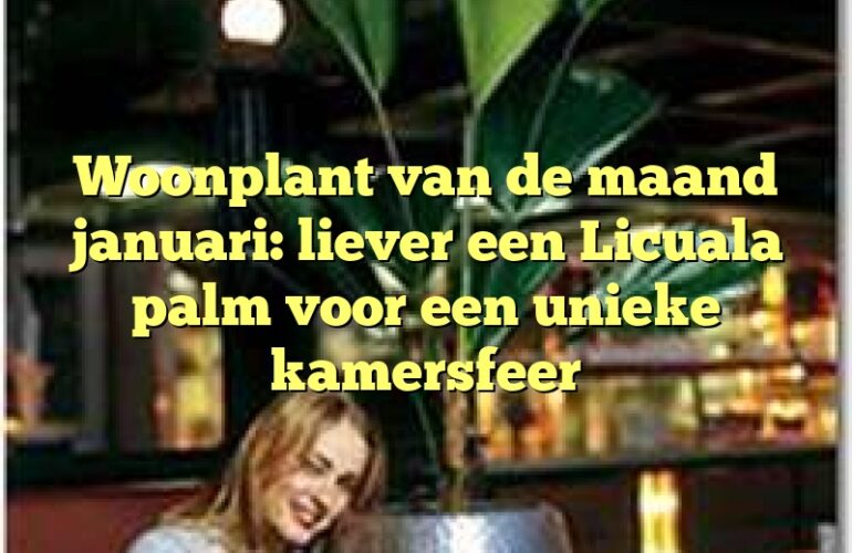 Woonplant van de maand januari: liever een Licuala palm voor een unieke kamersfeer