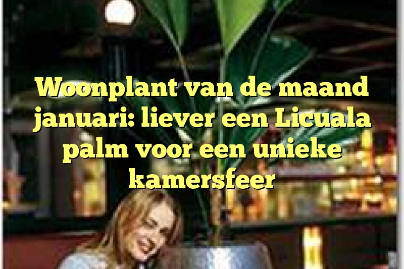 Woonplant van de maand januari: liever een Licuala palm voor een unieke kamersfeer