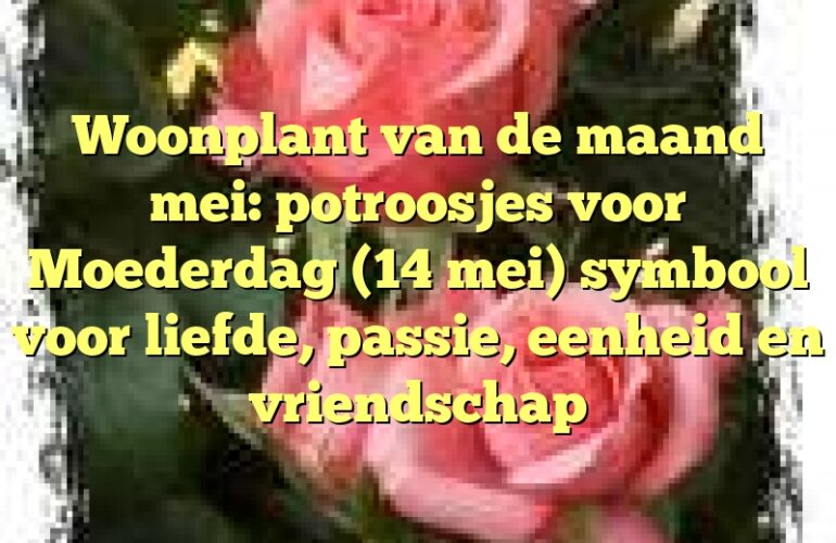 Woonplant van de maand mei: potroosjes voor Moederdag (14 mei) symbool voor liefde, passie, eenheid en vriendschap